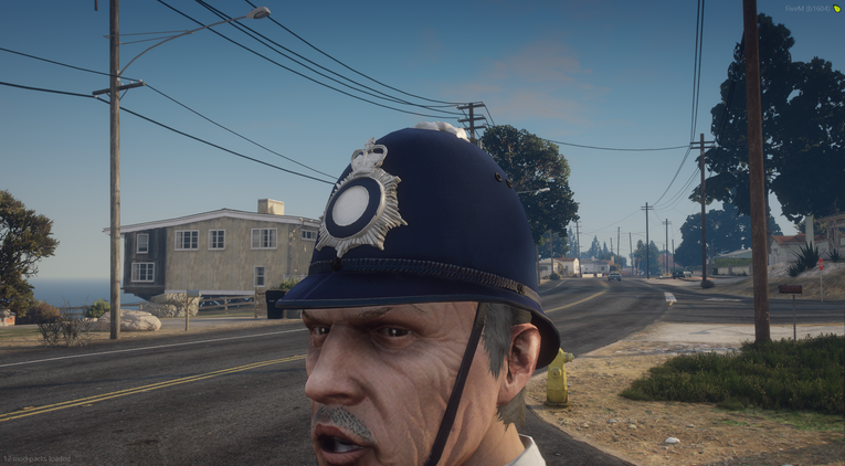 Police Custodian Helmet - Rose Top