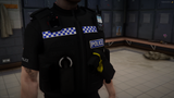 Hampshire Police Response EUP