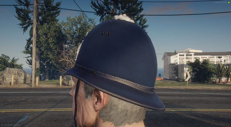 Police Custodian Helmet - Rose Top