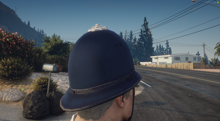 Police Custodian Helmet - Rose Top